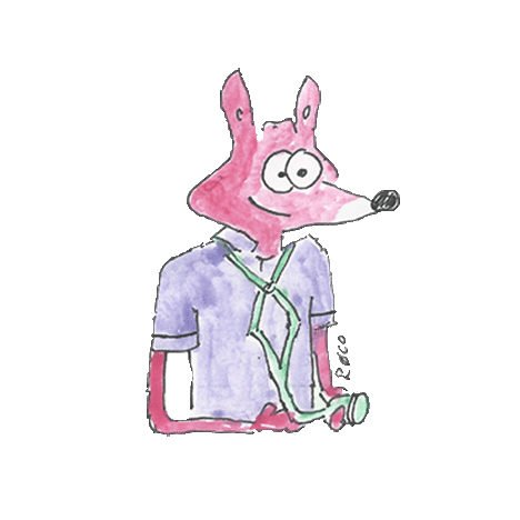 Studentischen Hilfskräfte