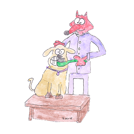 Tiermedizinische Fachangestellten